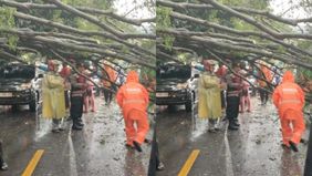 Sebuah pohon tumbang menutupi badan jalan di depan RM Tirta Rasa, Jalan Raya Muchtar, Sawangan, pada Rabu 3 Desember 2025, sekitar pukul 14.30 WIB.
