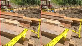 Polda Lampung kini tengah menyelidiki dugaan illegal logging (pembalakan liar) di Pugung Penengahan, Kecamatan Pesisir Utara, Kabupaten Pesisir Barat.