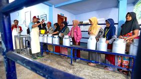 Nestle Indonesia memperingati 50 tahun kemitraan dengan peternak sapi perah rakyat di Jawa Timur.