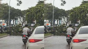 Sebuah pohon tumbang terjadi di kawasan Alam Sutera, tepatnya di depan Concourse Alsut atau Electronic City, pada Rabu 17 Desember 2025, sekitar pukul 12.30 WIB. Insiden tersebut mengakibatkan arus lalu lintas di sekitar lokasi mengalami kemacetan pa