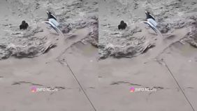 Banjir susulan kembali melanda Kabupaten Gayo Lues, Aceh, pada Kamis 1 Januari 2026. Hujan deras yang mengguyur wilayah tersebut mengakibatkan Sungai Tripe meluap hingga merobohkan sebuah jembatan di Kecamatan Pantan Cuaca.