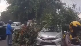 Sebuah pohon tumbang dilaporkan terjadi di Jalan T.B. Simatupang, Cilandak Timur, arah Pasar Minggu, Jakarta Selatan, Kamis 12 Februari 2026. Hal tersebut menjadi viral di media sosial.
