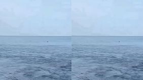 Fenomena tidak biasa terjadi di wilayah pesisir setelah gempa bumi berkekuatan magnitudo 7,6 mengguncang perairan Bitung, Sulawesi Utara hingga Maluku Utara, Kamis pagi, 2 April 2026, sekitar pukul 06.48 WITA.