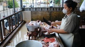 Suasana sibuk terlihat di tempat pemotongan ayam UD Syafina di Desa Klodran, Kabupaten Karanganyar, Jawa Tengah. Sejumlah pekerja tampak membersihkan ratusan ekor ayam yang telah disembelih, sementara lainnya memotong ayam menjadi beberapa bagian dan