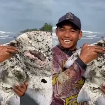 Viral Aksi Nelayan Lepaskan Ikan Jenis Pari Barong yang Tertangkap Jaring