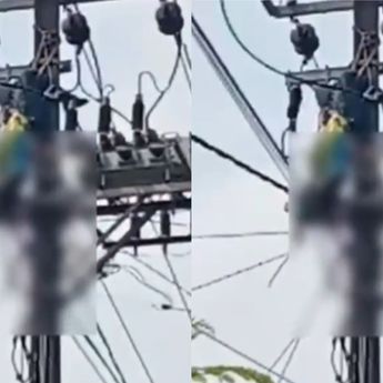 Viral Petugas PLN Tewas Kesetrum Hingga Bergelantung di Atas Tiang Listrik