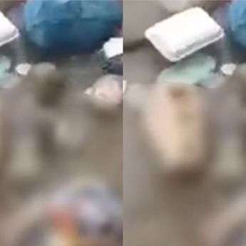 Viral Bayi Kondisi Meninggal Dunia di Sungai Semoyo Kendal, Diduga Dibuang Orang Tuanya