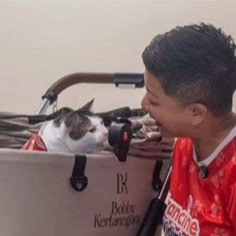  Francine Widjojo, Anggota DPRD DKI Jakarta Menang Lelang Baju Kucing Bobby Kartanegara
