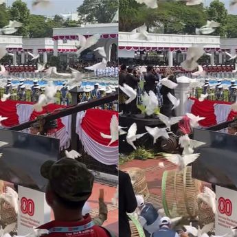 Begini Ternyata Proses Merpati Putih Terbang di Istana saat HUT ke-80 RI