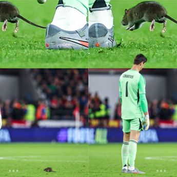 Ada Tikus di Lapangan saat Duel Wales vs Belgia di Kualifikasi Piala Dunia 2026