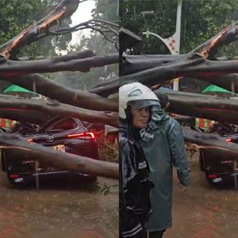 Masih Ada Orang dalam Mobil yang Tertimpa Pohon Tumbang di Dharmawangsa