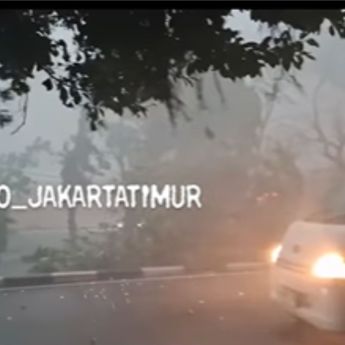 Jakarta Timur Dihantam Hujan Angin, Sejumlah Pohon Tumbang
