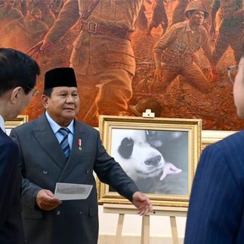 Prabowo Subianto Umumkan Nama Bayi Panda Pertama yang Lahir di Indonesia