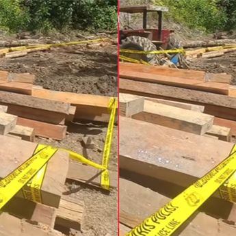 Polda Lampung Segel Area Diduga Pembalakan Liar di Pesisir Barat