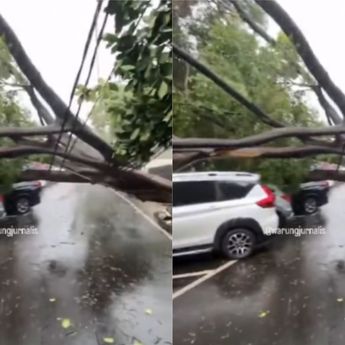 Pohon Besar Tumbang Timpa Mobil di Masjid Sunda Kelapa Usai Hujan Angin