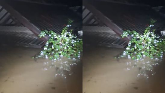 Villa Nusa Indah Bogor Banjir 3 Meter, Banyak Warga Terjebak di dalam Rumah