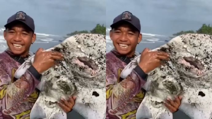 Viral Aksi Nelayan Lepaskan Ikan Jenis Pari Barong yang Tertangkap Jaring