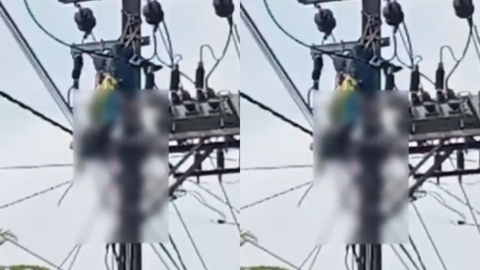 Viral Petugas PLN Tewas Kesetrum Bergelantung di Atas Tiang Listrik