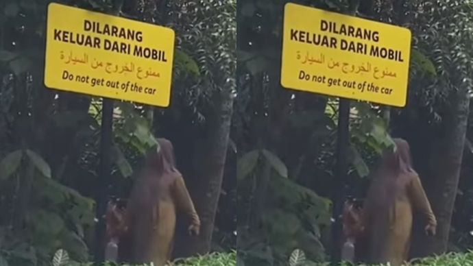 Viral Pengunjung Taman Safari Keluar Mobil Meski Sudah Ada Larangan