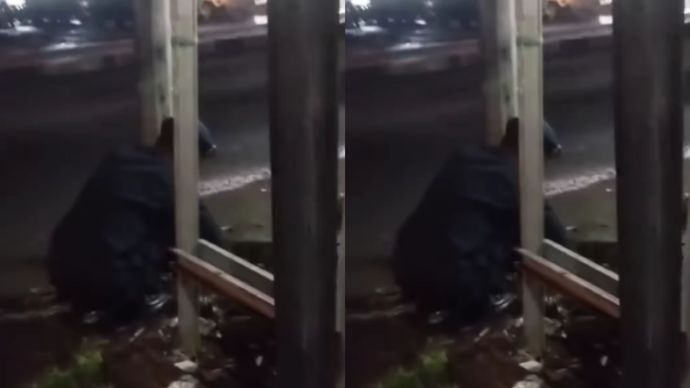 Misteri Keluar Asap Dalan Tanah dan Bau Belerang Gegerkan Warga Depok