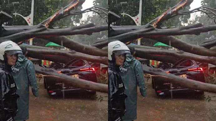 Masih Ada Orang dalam Mobil yang Tertimpa Pohon Tumbang di Dharmawangsa