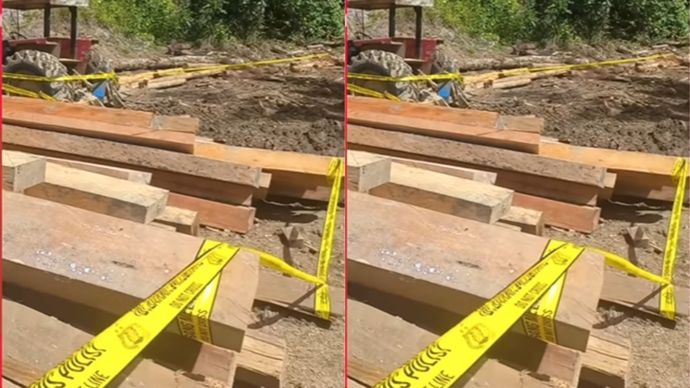 Polda Lampung Segel Area Diduga Ilegal Logging di Pesisir Barat