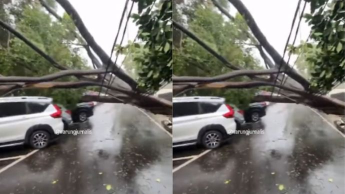 Pohon Besar Roboh Timpa Mobil di Masjid Sunda Kelapa Usai Hujan Disertai Angin Kencang