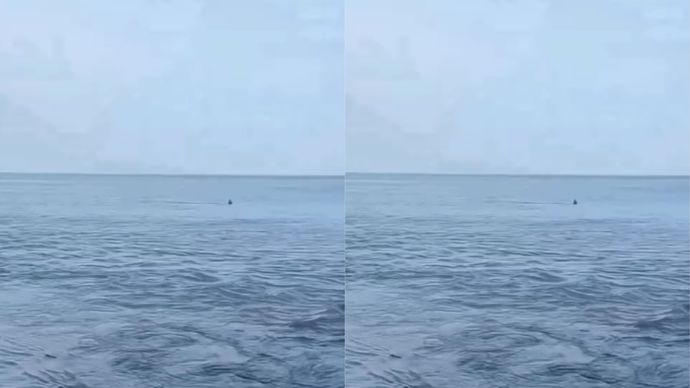 Air Laut Surut Usai Gempa M 7,6 di Bitung, Warga Pesisir Sempat Cemas