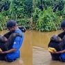 Sweet Banget! Simpanse Peluk ke Pria yang Kasih Dia Makanan