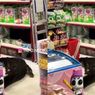 Viral Buaya Masuk ke Mini Market di Maluku Utara Hingga Bikin Panik Warga