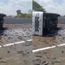 Viral Pickup Pengangkut Lele Kecelakaan di Jalan Tol Ngawi-Kertosono KM 619