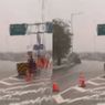Tol Graha-BSD Ditutup Gegara Pohon Tumbang Usai Hujan Deras
