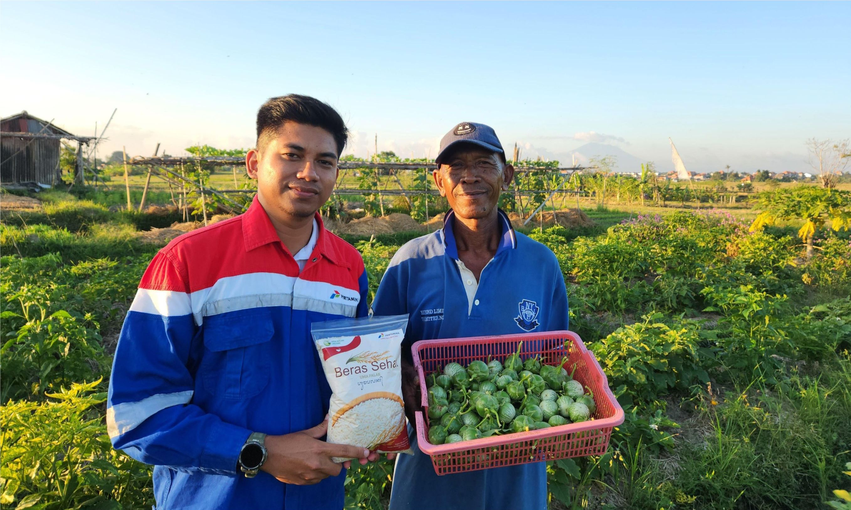 Pertamina Kembangkan Energi Transisi, Dorong Kesejahteraan 408 Petani di Desa Uma Palak <b>(Istimewa)</b>