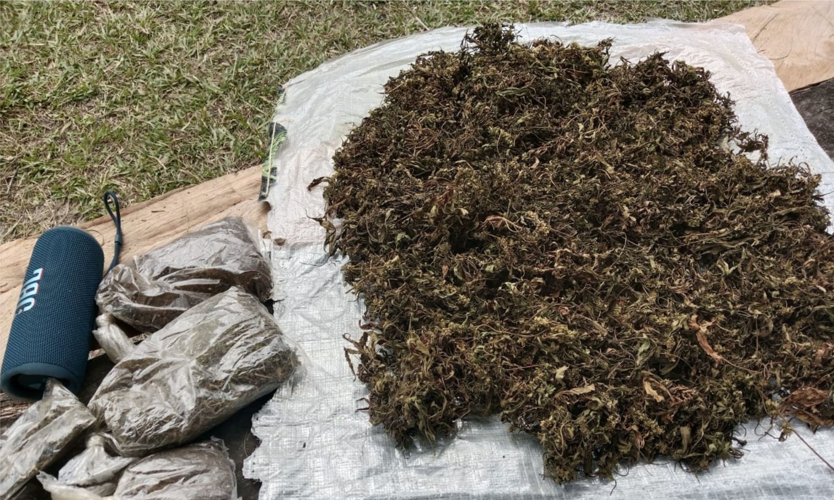 Baku Tembak di Wamena, Anggota KKB Pionus Gwijangge Tewas dan Ganja Jadi Barang Bukti <b>(Istimewa)</b>