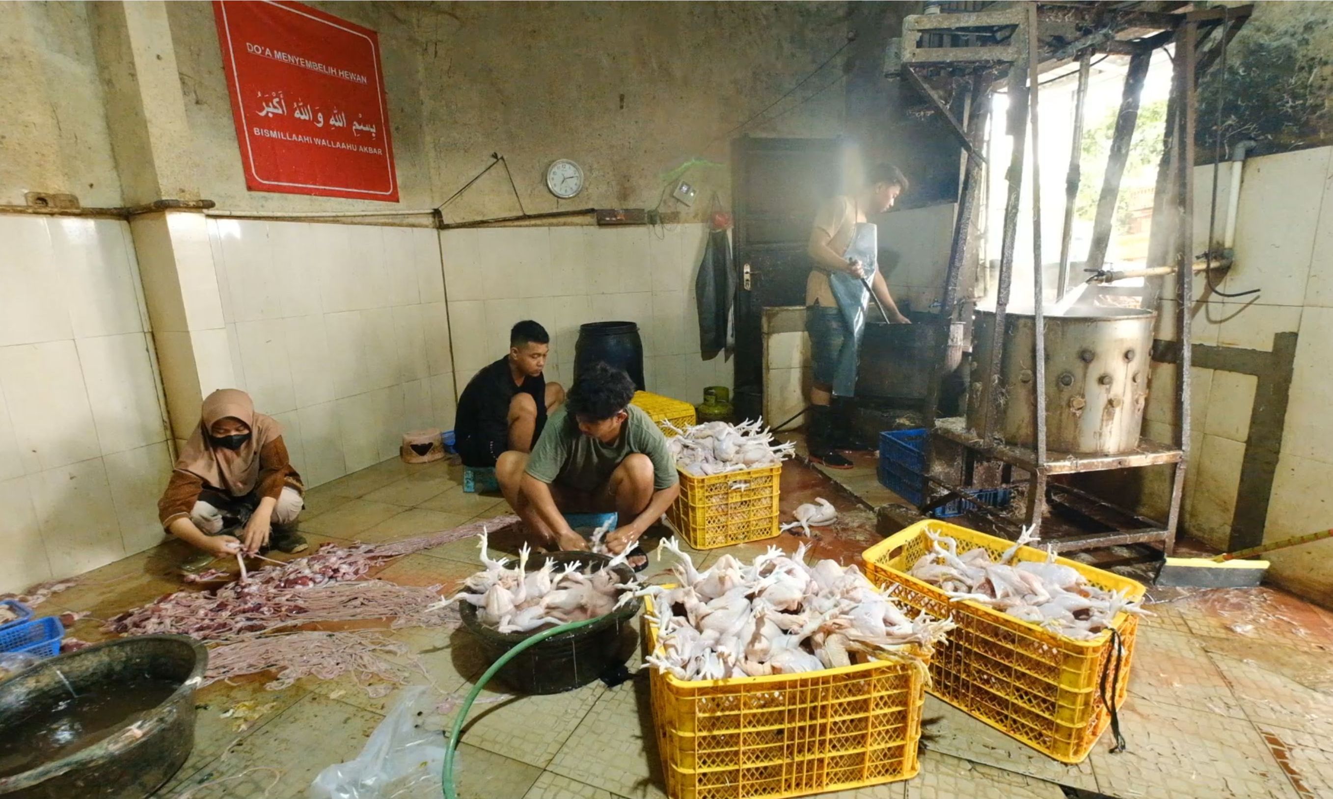 Berkah Dapur MBG bagi Usaha Ayam Potong Karanganyar, Pasok Hingga 2,3 Ton Daging Segar per Hari <b>(Istimewa)</b>