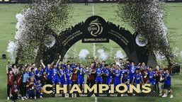 FIFA Cabut Permanen Registration Ban Persib Terkait Kasus Robert Rene Alberts