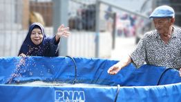 PNM Lansiapreneur Jadi Ruang Berkarya bagi Lansia