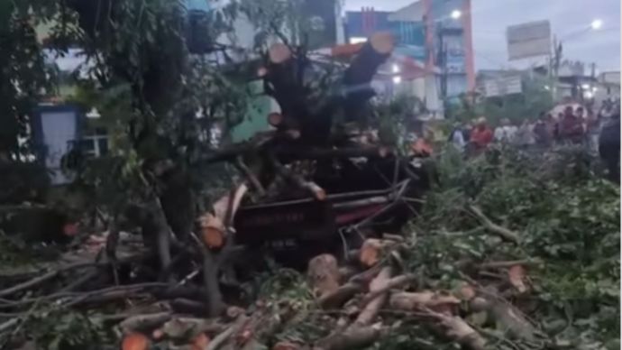 Pohon Tumbang di Bekasi Menimpa Pengendara Mobil