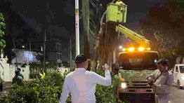 Pemprov DKI Lakukan Peremajaan Pohon di Pondok Indah Usai Insiden Lexus