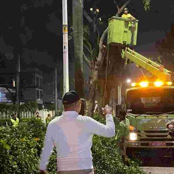 Pemprov DKI Lakukan Peremajaan Pohon di Pondok Indah Usai Insiden Lexus