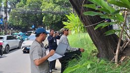 Antisipasi Cuaca Ekstrem, Pemprov DKI Jakarta Perkuat Mitigasi Cegah Pohon Tumbang