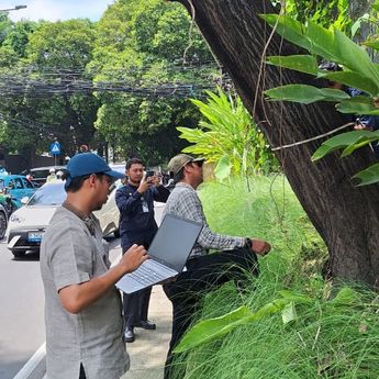 Antisipasi Cuaca Ekstrem, Pemprov DKI Jakarta Perkuat Mitigasi Cegah Pohon Tumbang