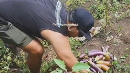 Dari Jalanan ke Sawah, Kisah Petani Punk Gunungkidul yang Kini Pasok Dapur MBG