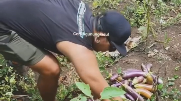 Komunitas Petani Punk.