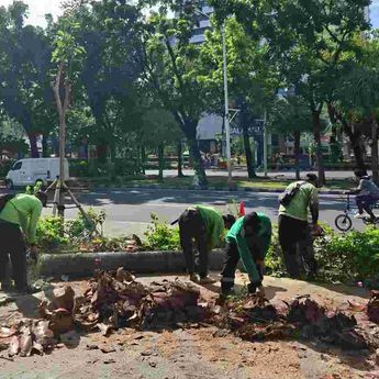 Pemprov DKI Lakukan Penopingan Pohon Serentak Hadapi Musim Hujan dan Angin Kencang