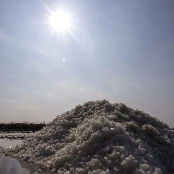 BMKG: 66 Persen Wilayah Jabar Dikepung Kemarau Lebih Awal dan Kering