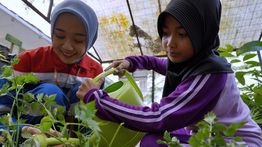 Hari Anak Nasional 2025, Pertamina Majukan Anak Indonesia  Melalui Program Community Involvement and Development