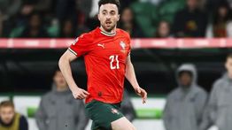 Kronologi Kecelakaan Maut Pemain Liverpool Diogo Jota, Mobil Meledak Usai Ban Pecah