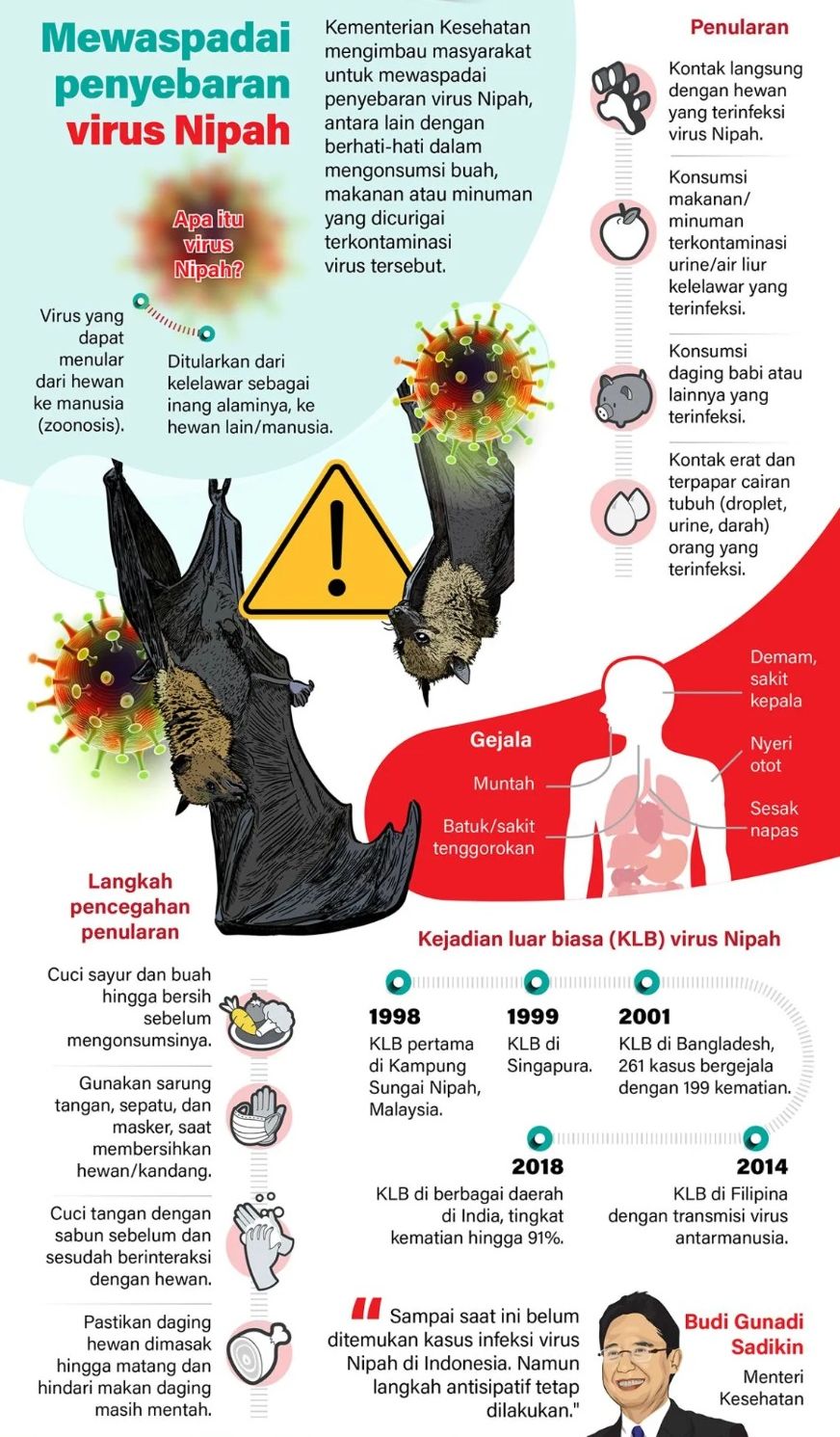Kementerian Kesehatan mengimbau masyarakat untuk mewaspadai penyebaran virus Nipah, antara lain dengan berhati-hati dalam mengonsumsi buah, makanan atau minuman yang dicurigai terkontaminasi virus tersebut. <b>(Antara)</b>