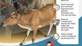 Badan Amil Zakat Nasional (Baznas) menyalurkan bantuan 100 ekor sapi untuk mendukung tradisi Meugang menyambut bulan suci Ramadhan 1447 Hijriah di delapan kabupaten di Aceh.